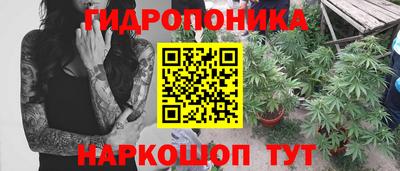 стаф Обь
